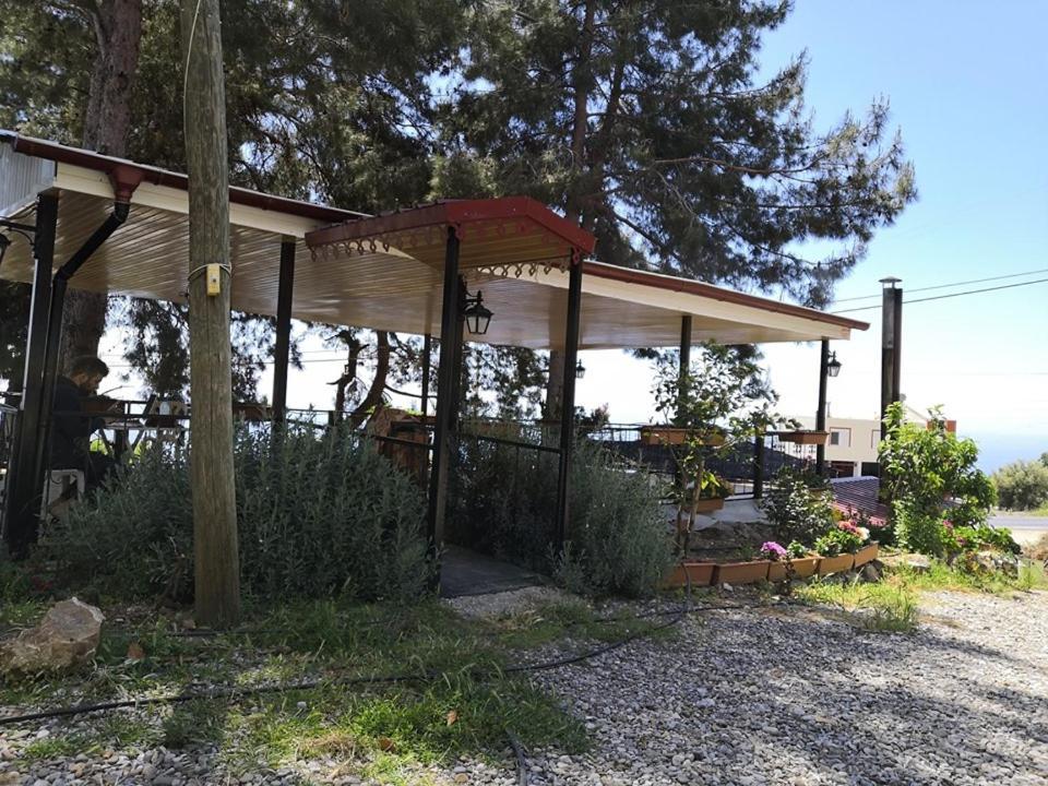 Zeytinada Pansiyon Ve Goezleme Guneykoy エクステリア 写真