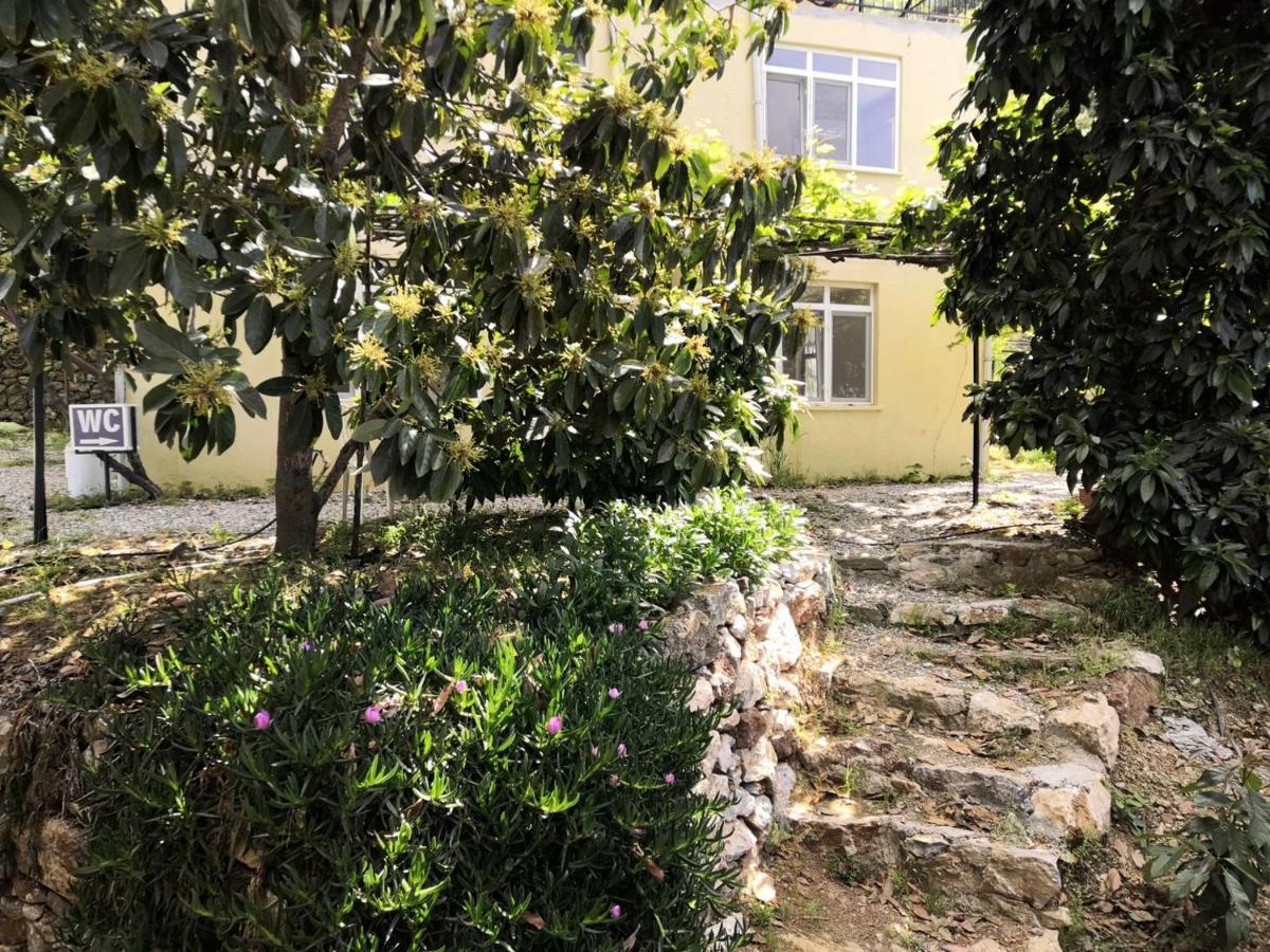 Zeytinada Pansiyon Ve Goezleme Guneykoy エクステリア 写真