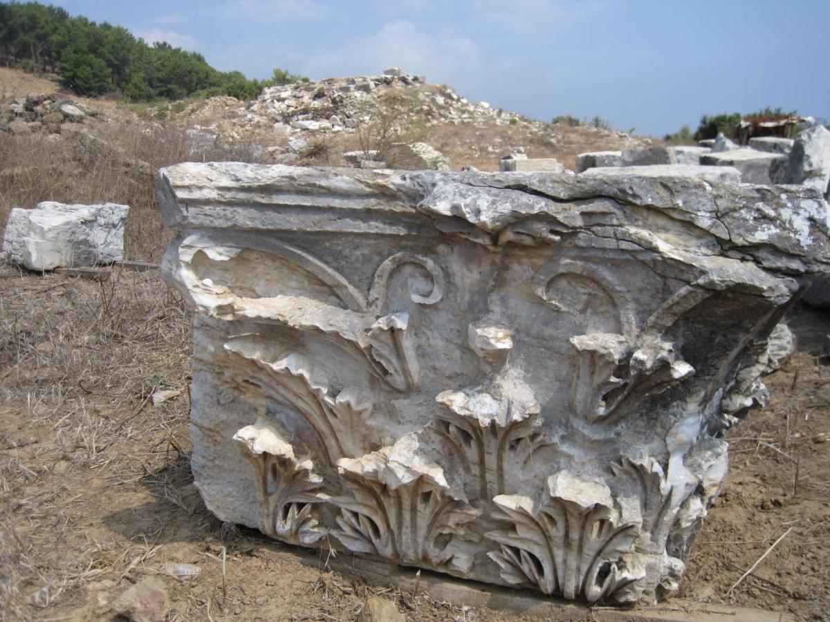 Zeytinada Pansiyon Ve Goezleme Guneykoy エクステリア 写真