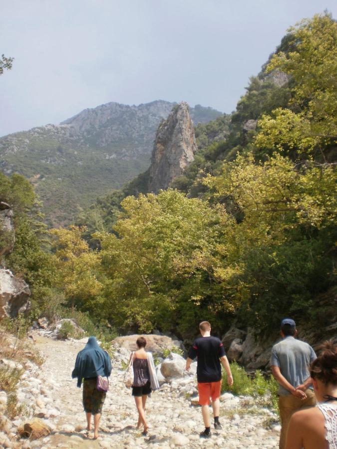 Zeytinada Pansiyon Ve Goezleme Guneykoy エクステリア 写真