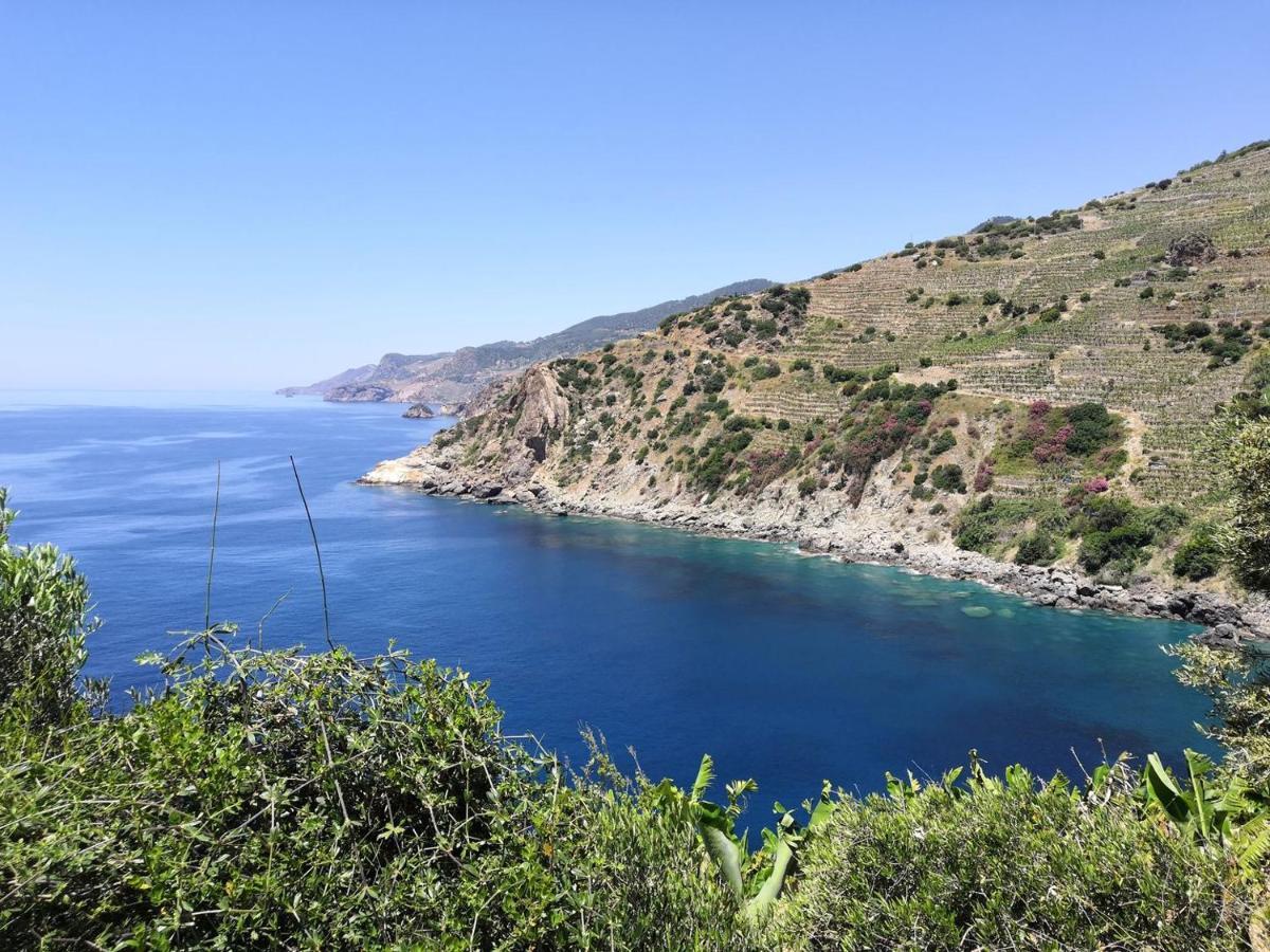 Zeytinada Pansiyon Ve Goezleme Guneykoy エクステリア 写真